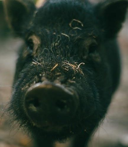 three little pigs story pdf